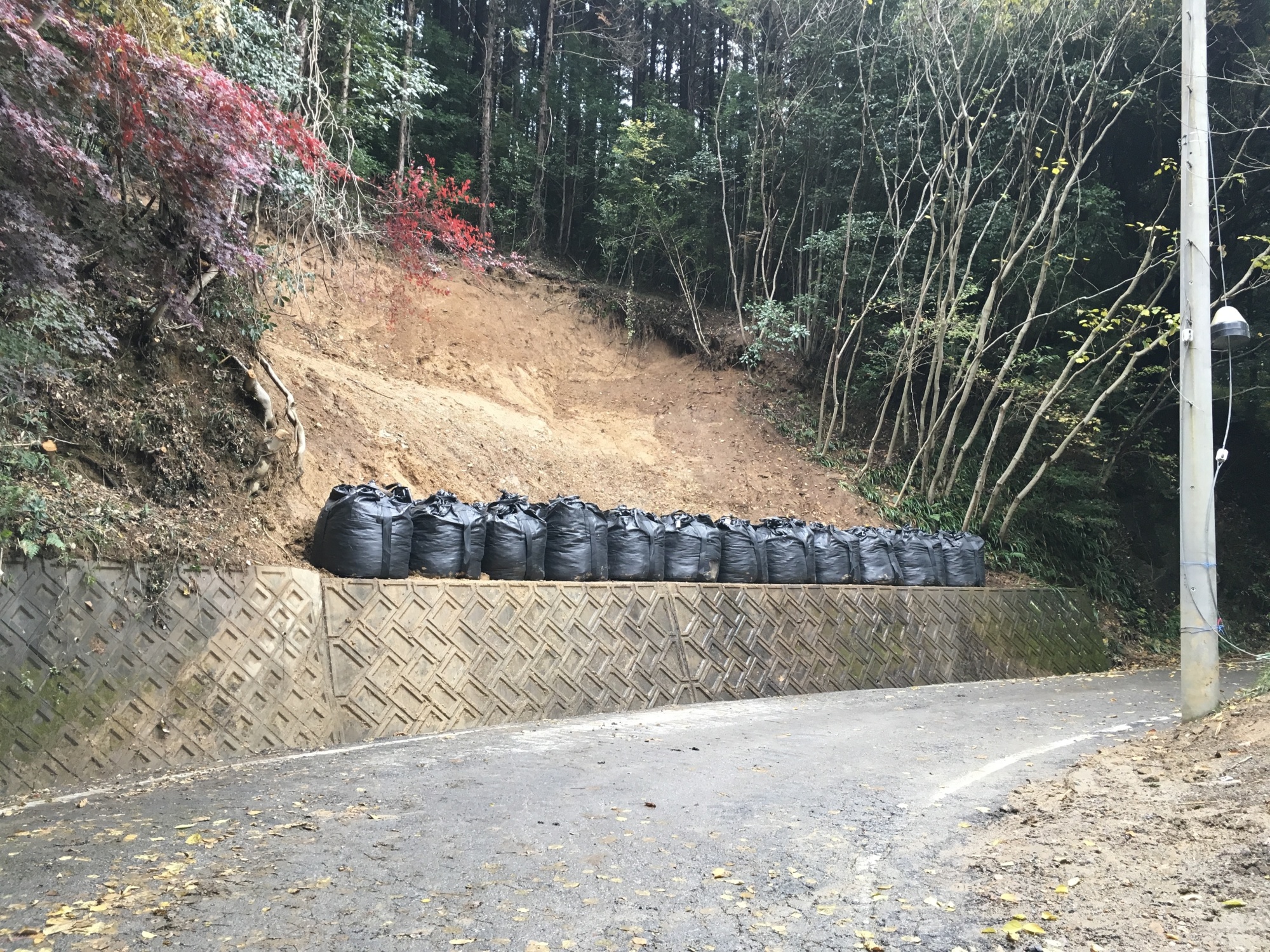 大岩山女坂横土砂災害復興