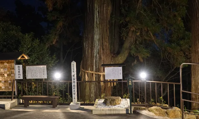 大岩山毘沙門天の御神木VRツアー