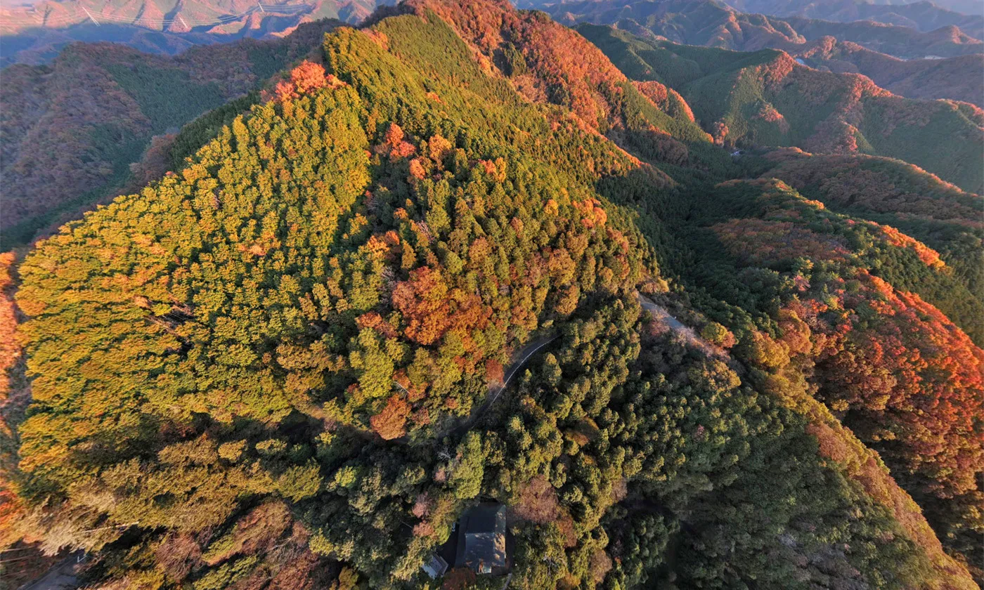 大岩山毘沙門天 空撮