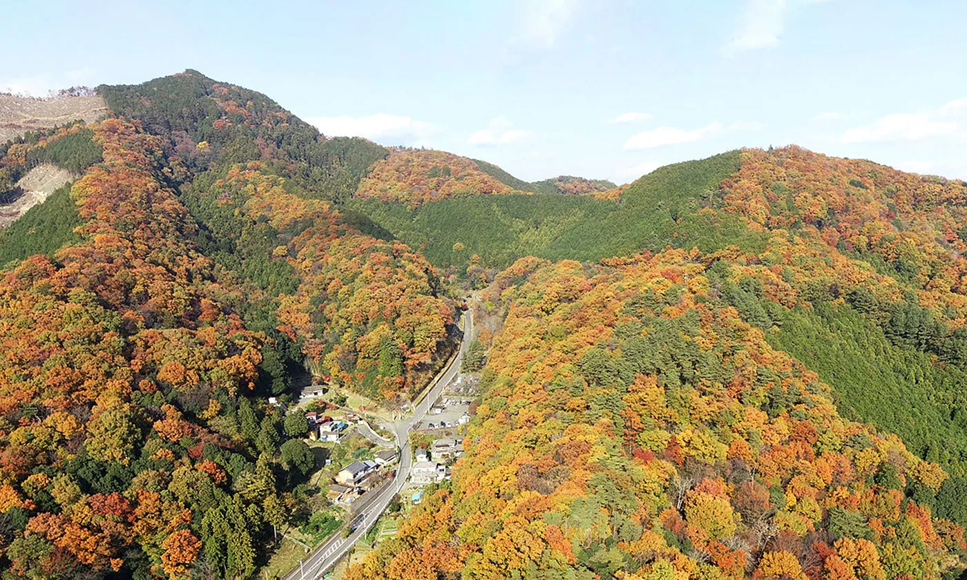 大岩山の紅葉の空撮写真