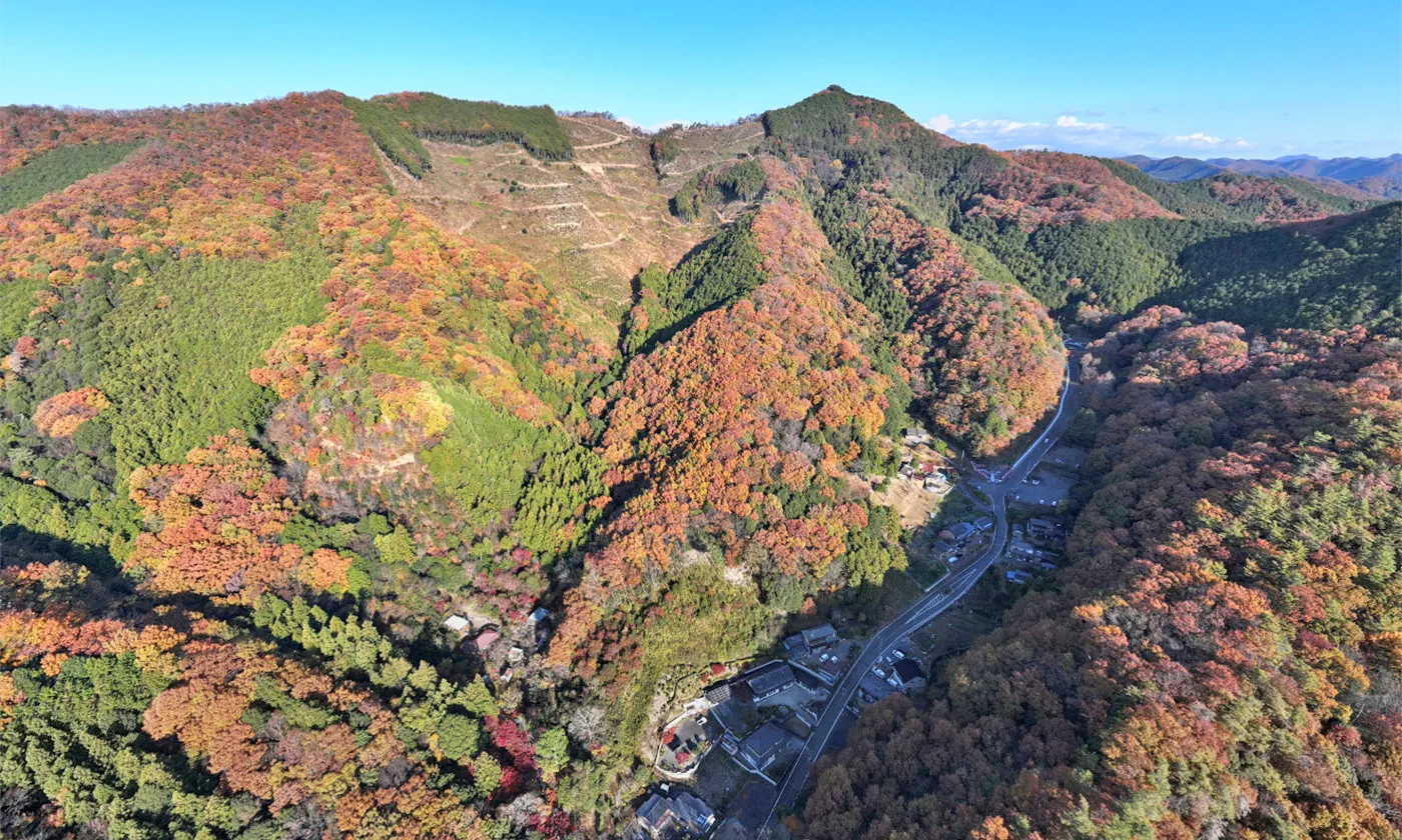 大岩山 植林事業 空撮