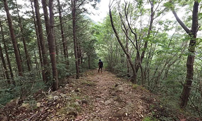 大岩山 のハイキングコース