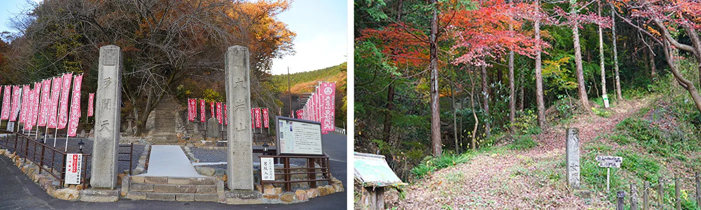 大岩山男坂紅葉の空撮VRツアー