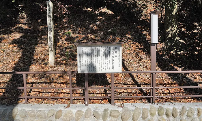 天然記念物の暖地性植物自生地の看板VRツアー