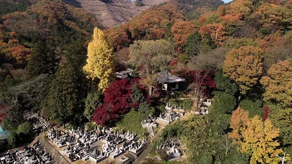 大岩山多聞院最勝寺本坊の紅葉