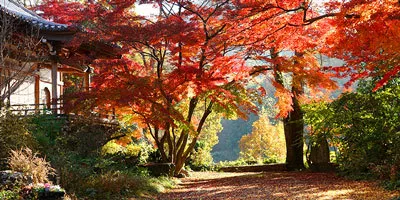 最勝寺の紅葉