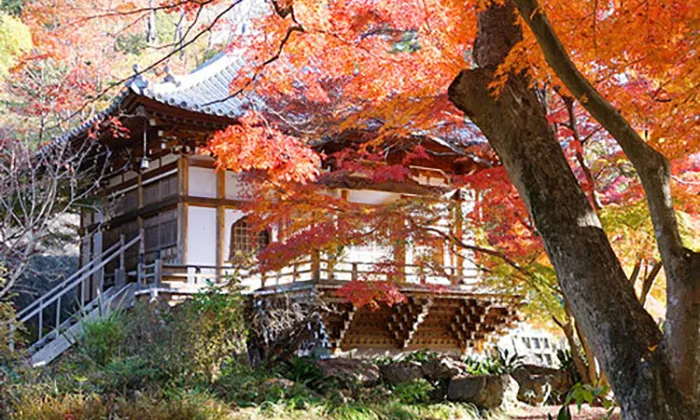 最勝寺本坊の案内