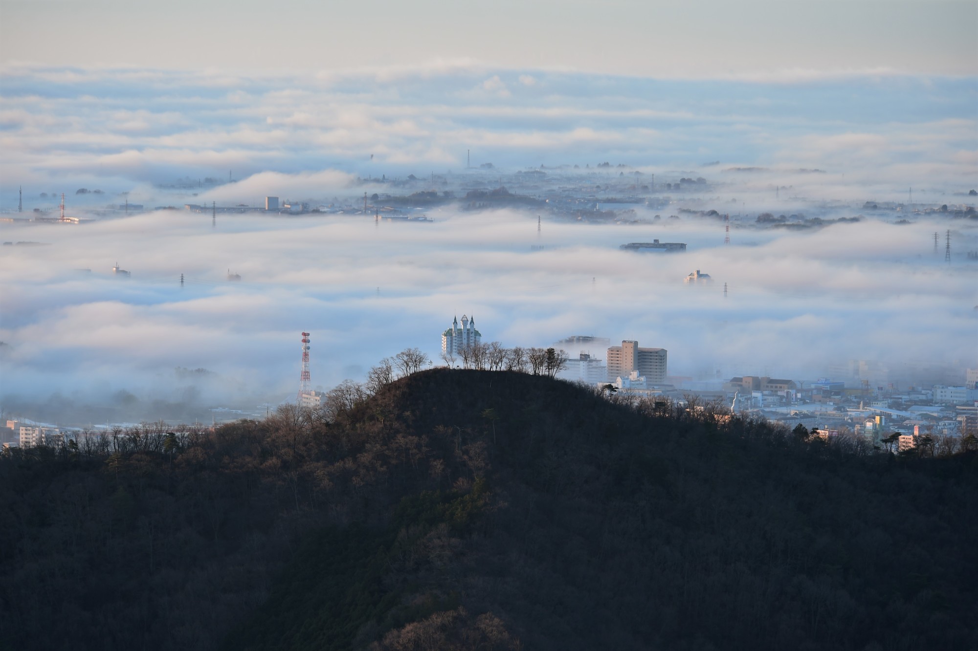 関東の霊山大岩山から見た関東平野の雲海