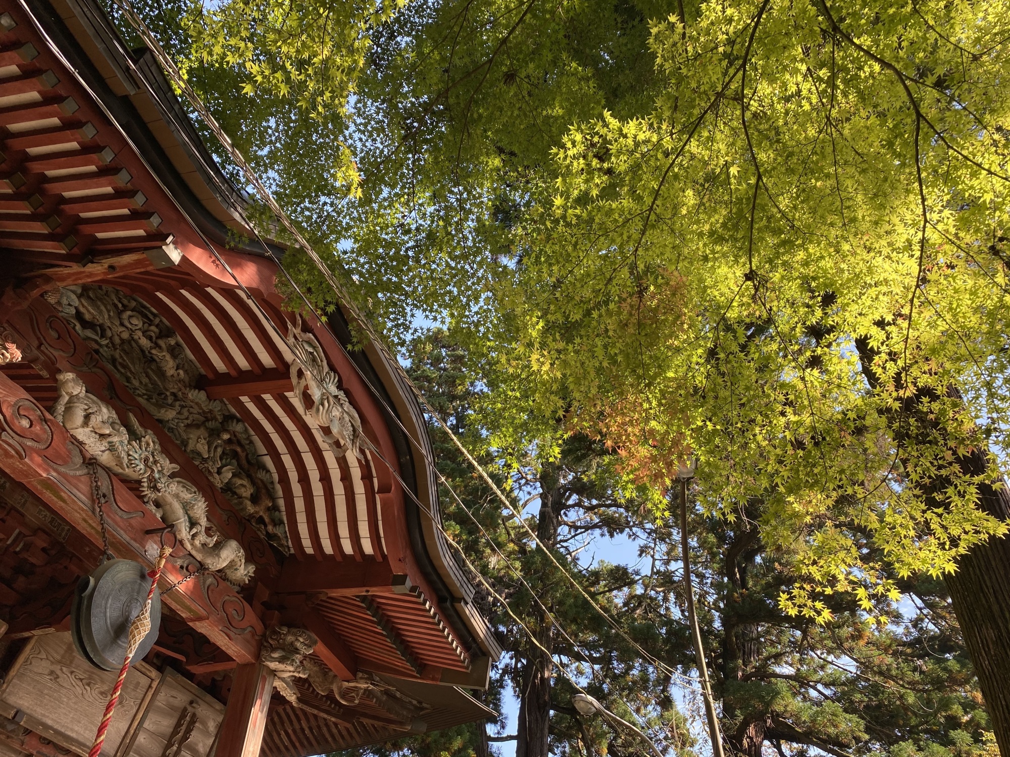 大岩山毘沙門天の本堂と紅葉が始まりつつある紅葉