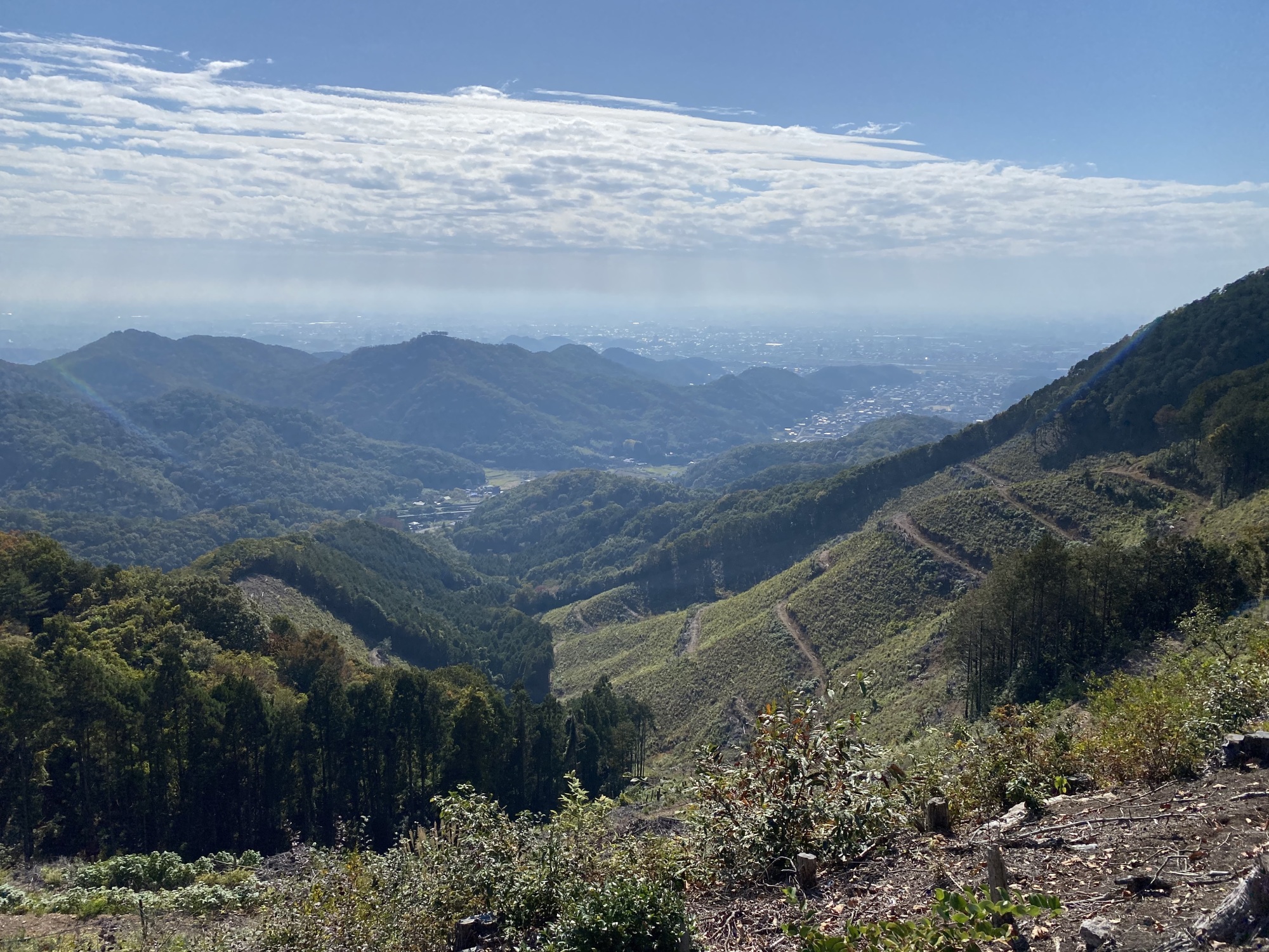 大岩山西側斜面から関東平野の眺め