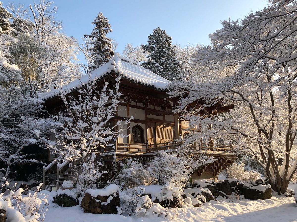 大岩山多聞院最勝寺本坊の本堂の冬の雪景色写真