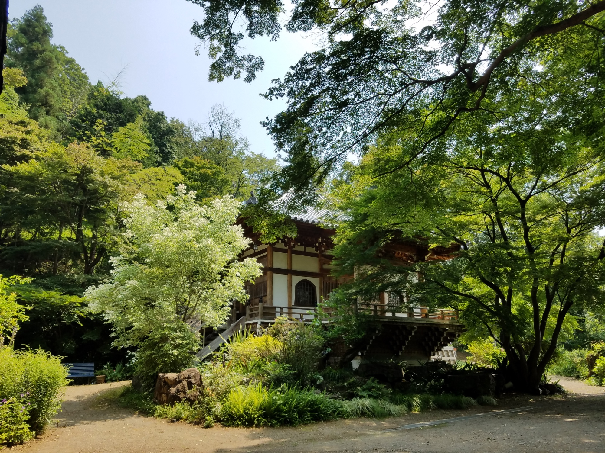 大岩山多聞院最勝寺本坊の本堂の春の写真