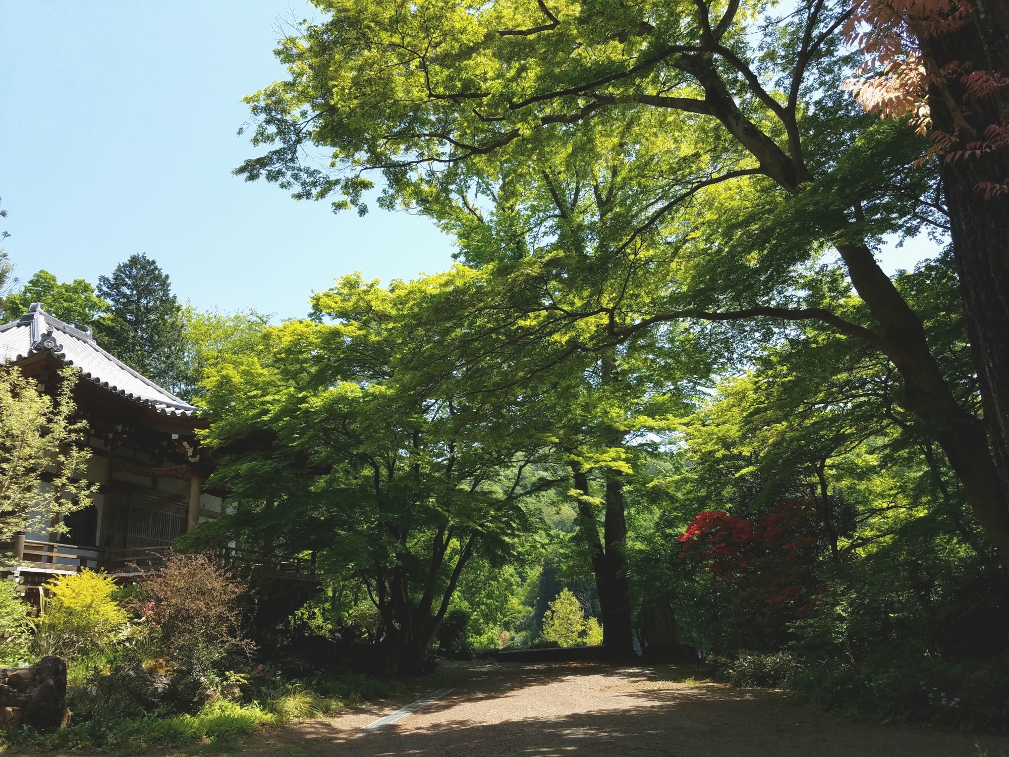 大岩山多聞院最勝寺本坊の本堂の夏の写真