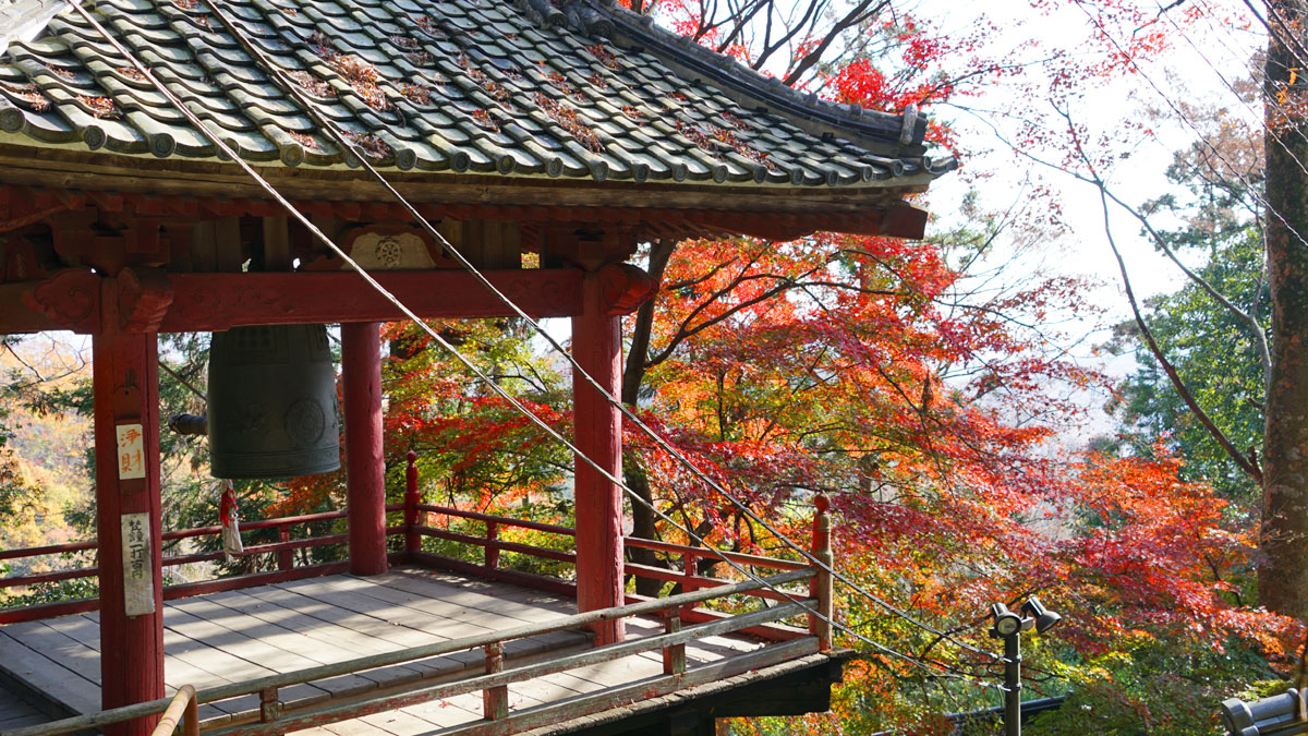 Picture of autumn leaves near the bell tower in the precinct of Oiwasan Bishamonten