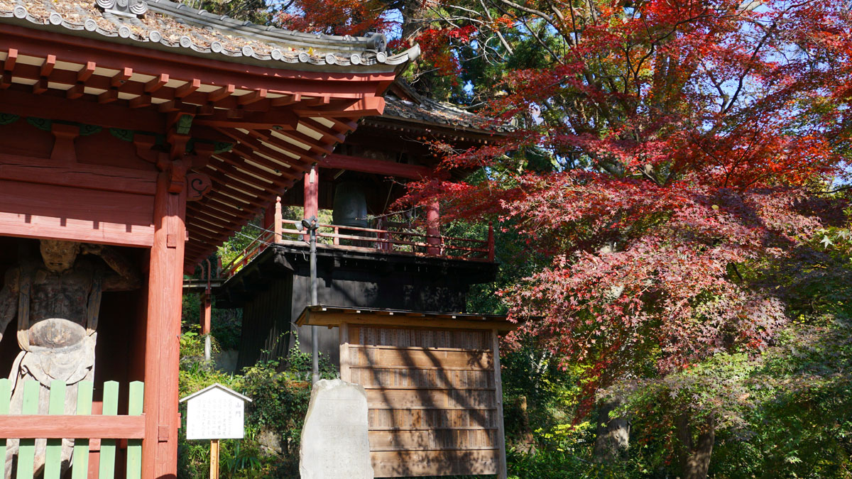 Picture of autumn leaves in front of the nioumon-gate of the main temple of Oiwasan Bishamonten