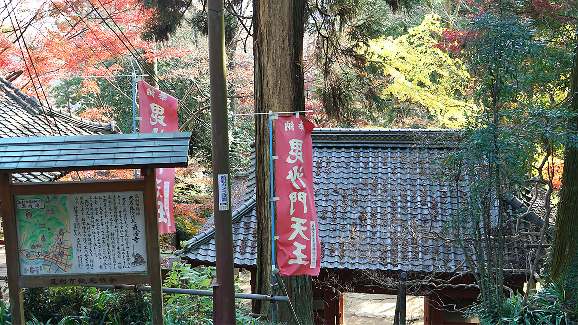 View from the main hall of Oiwasan Bishamonten