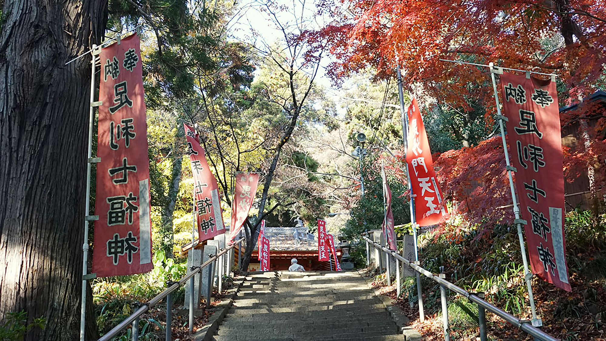 Stone steps at the entrance of the main hall of Oiwasan Bishamonten